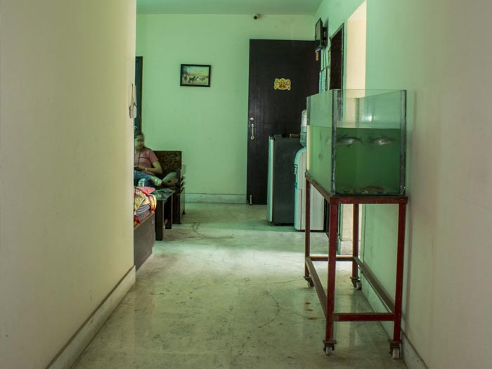 gallery